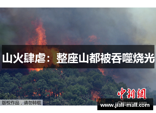 山火肆虐：整座山都被吞噬烧光